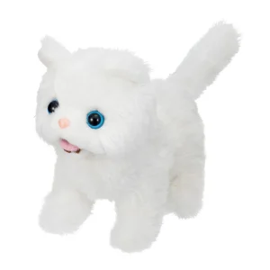 Alternative view of Mèo con - Baby Persian IWAYA