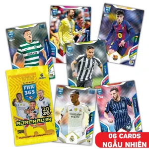 Gói Thẻ Hình FIFA 365