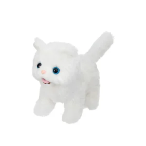 Mèo con - Baby Persian IWAYA