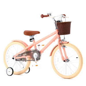 Xe đạp trẻ em Royal Baby Macaron Cam